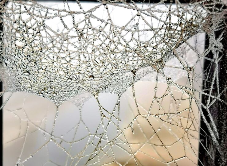 El fin de semana ser invernal con nieve lluvia y mximas de 8C en el centro