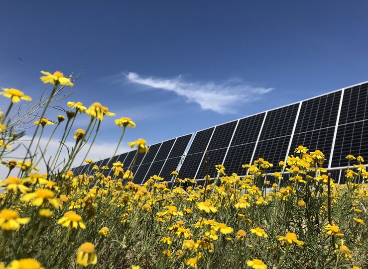 La fbrica de Nestl en Miajadas instala un parque solar fotovoltaico para autoconsumo