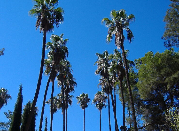 Parques y jardines de Badajoz cierran por fuertes rachas de viento de hasta 70 kmh