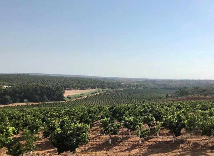 Clygal critica que PSOE prometa licitar regado Tierra Barros y vote en contra en Congreso