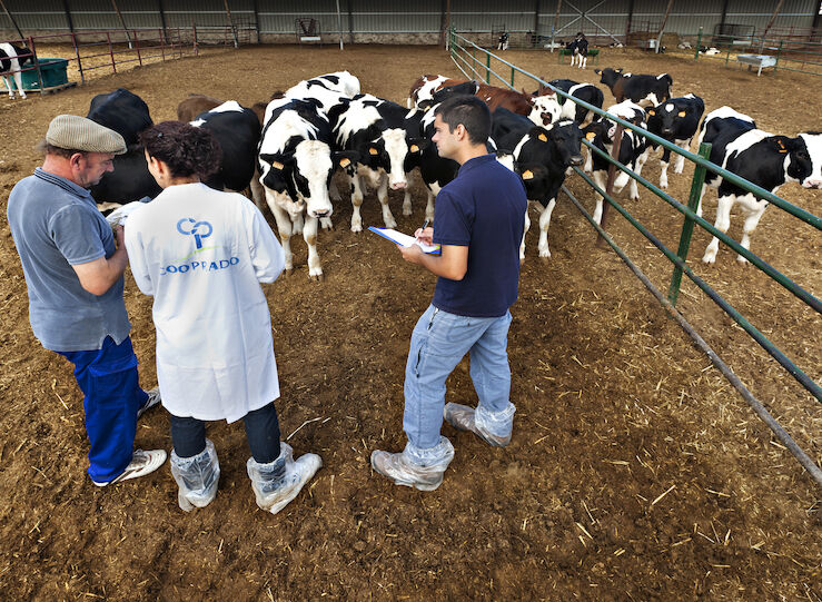 Una oportunidad para jvenes y mujeres rurales las cooperativas agroalimentarias