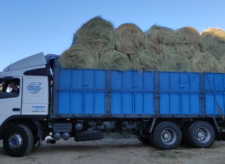 Diputacin de Cceres dona tres camiones de alpacas a la localidad de Aceituna 