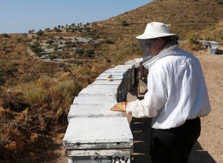 La Unin pide a la Junta 871 millones para paliar incremento de costes del sector apcola