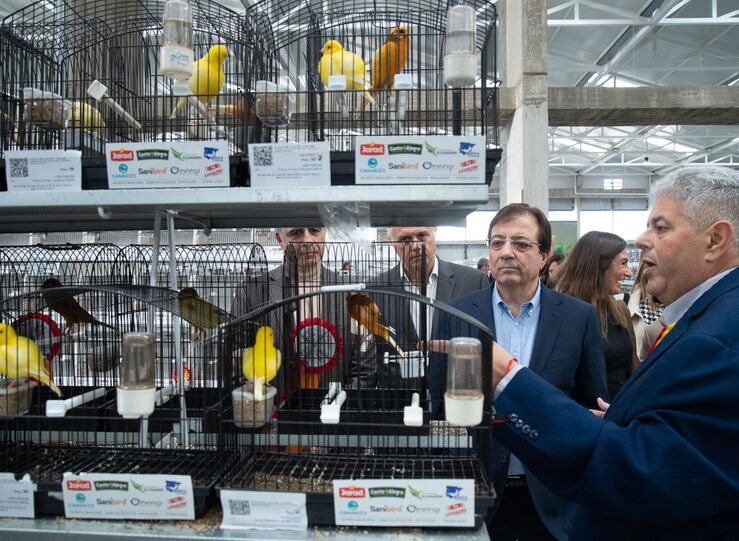 En Campeonato Ornitolgico Espaa Vara En Extremadura hay 400 especies pjaros