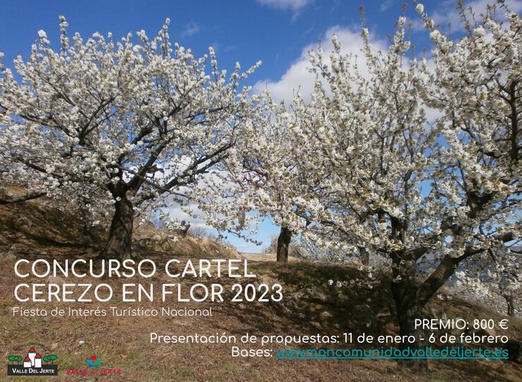 El Valle del Jerte lanza un concurso para el cartel anunciador del Cerezo en Flor 2023