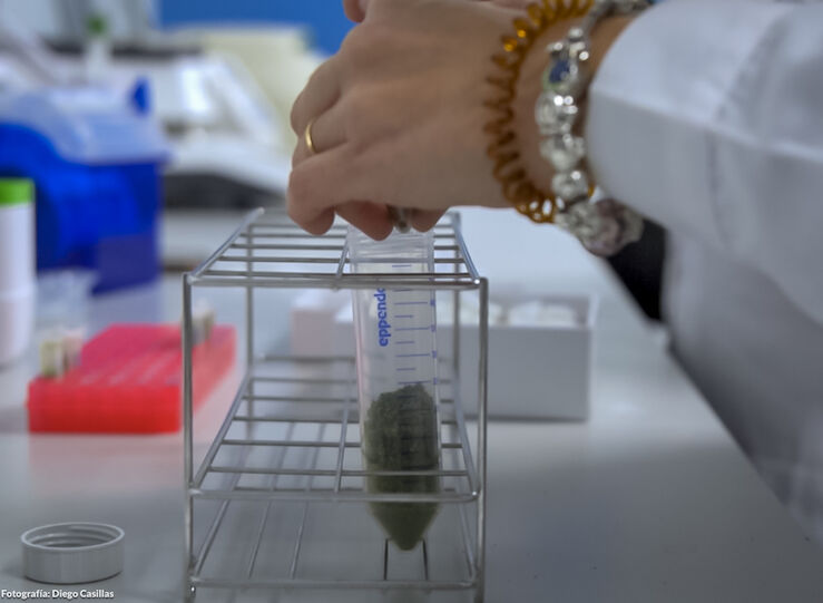 No tenemos que ser 100 suficientes pero s poder generar nuestra propia tecnologa