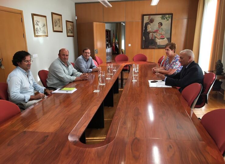 Cooperativas Extremadura pide sanciones contundentes para evitar robos de aceitunas