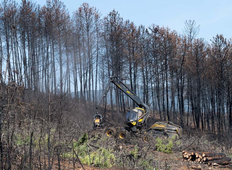 Bruselas propone movilizar 120M para ayudar a Espaa a recuperarse de los incendios