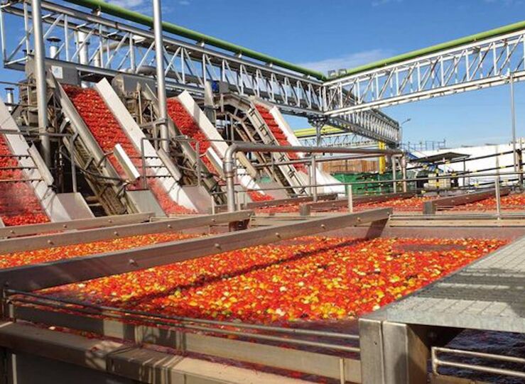 Las cooperativas el tesoro desconocido de Extremadura