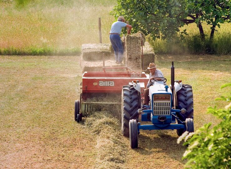 La Junta apuesta por el crecimiento en Extremadura a travs de la creacin de cooperativas