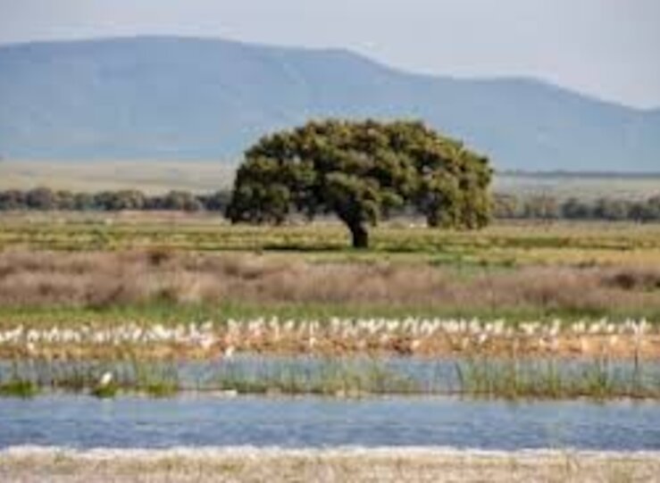 Junta modificar lmites de 52 espacios protegidos tras ver errores en su delimitacin