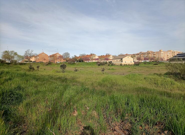 Toda Extremadura estar este jueves en aviso amarillo por temperaturas cerca 40