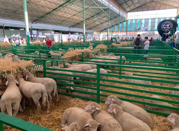 La Junta apoya al sector ganadero durante la celebracin de la FIG Zafra