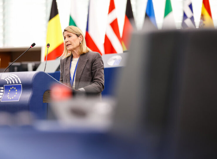 En UE Elena Nevado pide ms campo y ms mundo rural y menos oportunismo sobre incendios