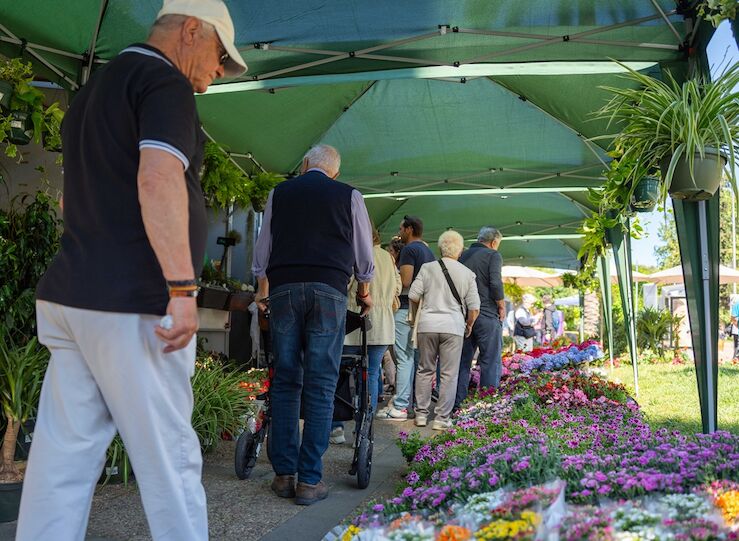  Gran acogida y numeroso pblico en el II Mercado de las Flores celebrado en Mrida