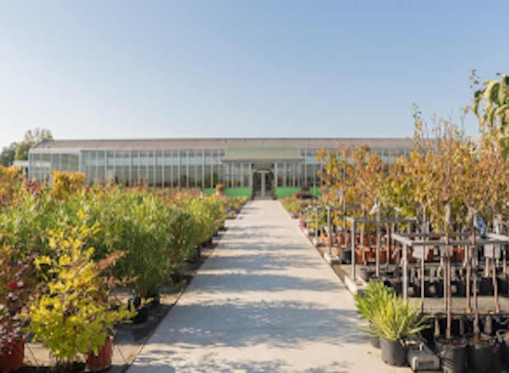 Vivero de plantas y rboles cmo elegir cuidar y aprovechar al mximo tus cultivos