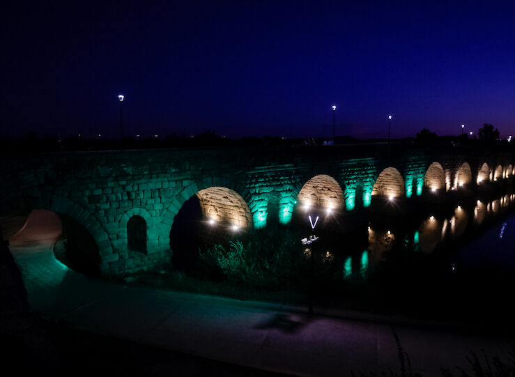 Mrida se iluminar de color verde por el Da Mundial de la lucha contra ELA