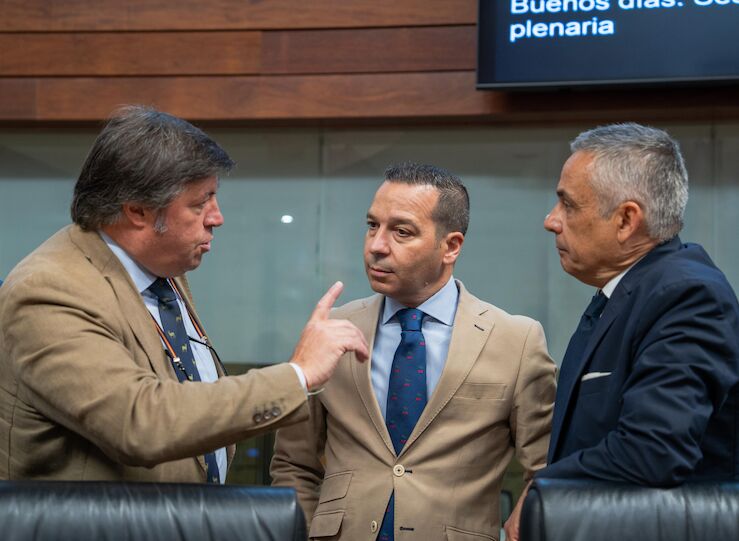 Vox pedir que la Junta introduzca sanciones a prcticas islmicas que vejen a la mujer