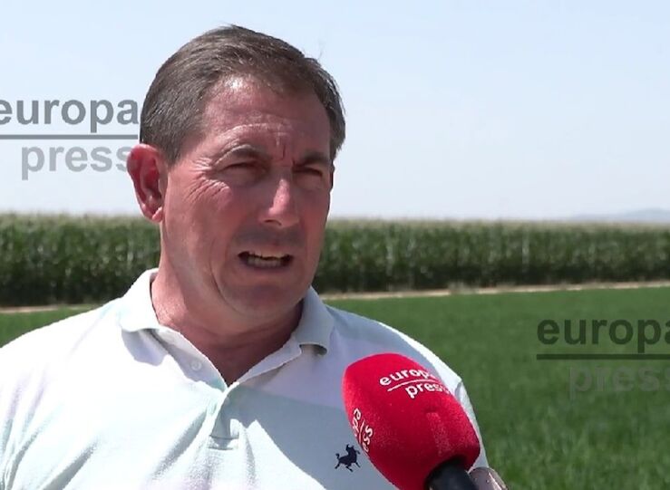 Agricultores de Villanueva alertan Se avecina una catstrofe para el cultivo del arroz
