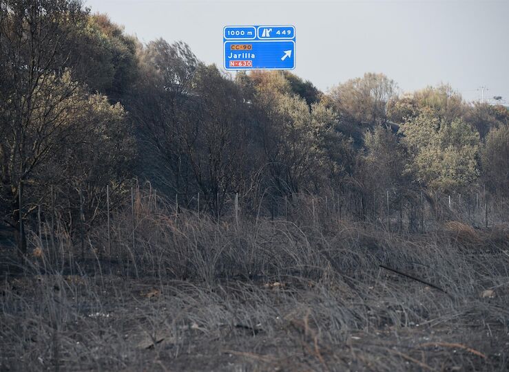 El jefe de la expedicin de Bombers en Jarilla Incendios como este llegarn a Catalua