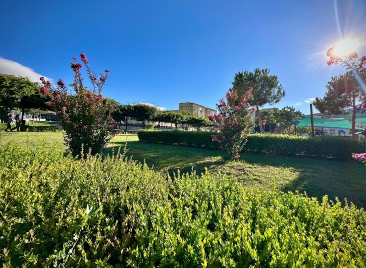 Ayuntamiento Badajoz invertir 60000 en reponer rboles y arbustos en parques y jardines