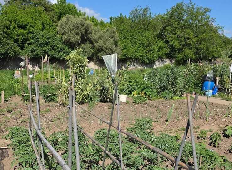 La UP de Cceres oferta 33 talleres de distintas disciplinas con 495 plazas