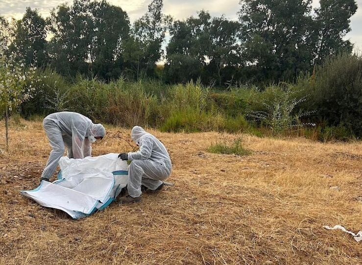 CHG invierte 150000 anuales en limpiar y retirar residuos en dominio pblico hidrulico 