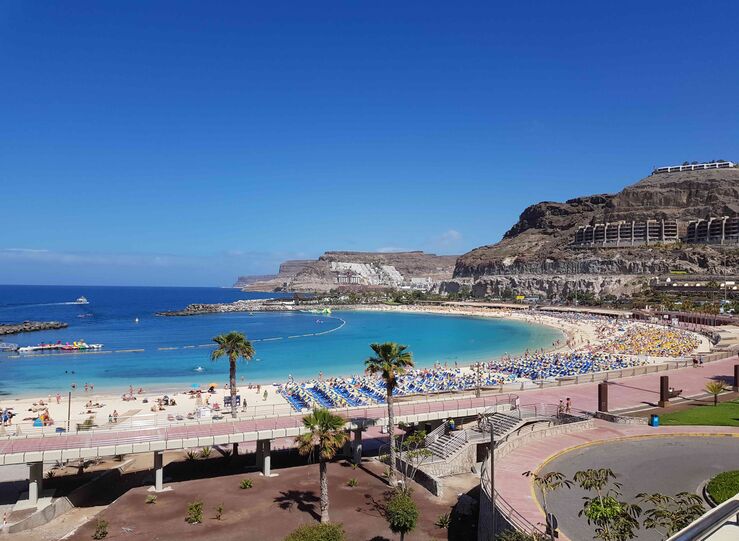 Cundo Deberas Visitar Realmente las Islas Canarias Y Cundo Quedarte en Casa