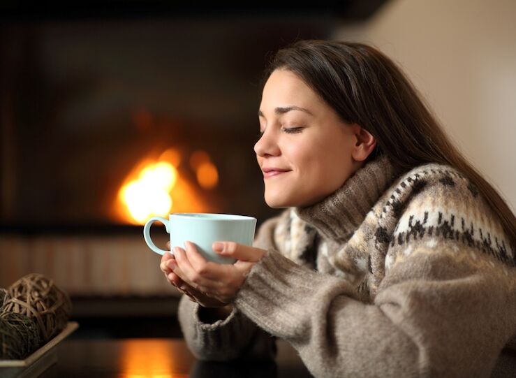 La importancia de elegir una buena estufa para disfrutar de hogar confortable y eficiente