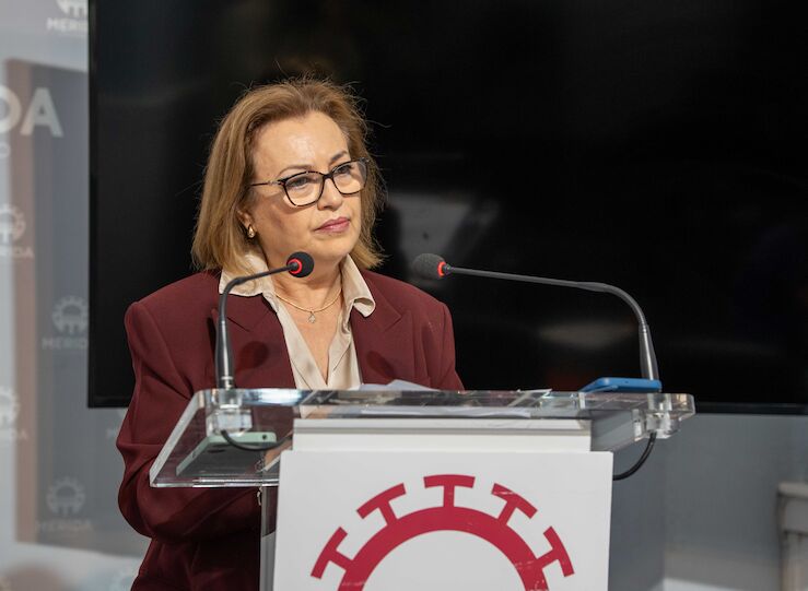 El Ayuntamiento de Mrida critica la propuesta de la Junta para el Programa Lazos