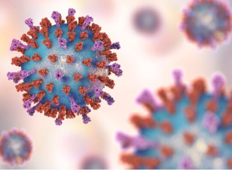 La UEx evaluar la incidencia del asma y bronquitis recurrente en nios 