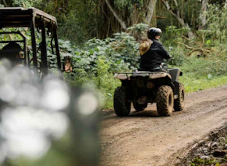Rutas en quad y ocio colectivo como propuestas que impulsan el turismo activo