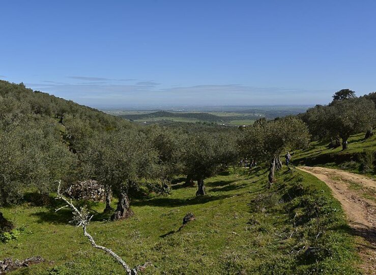 Diputacin licita por 46566 la asistencia tcnica para mejorar y homologar 60 senderos