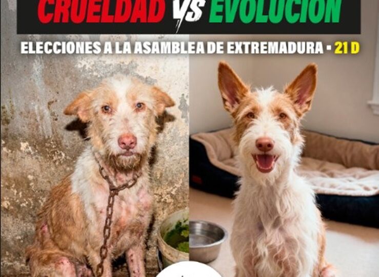 Pacma invita en su campaa electoral a elegir entre crueldad o evolucin 