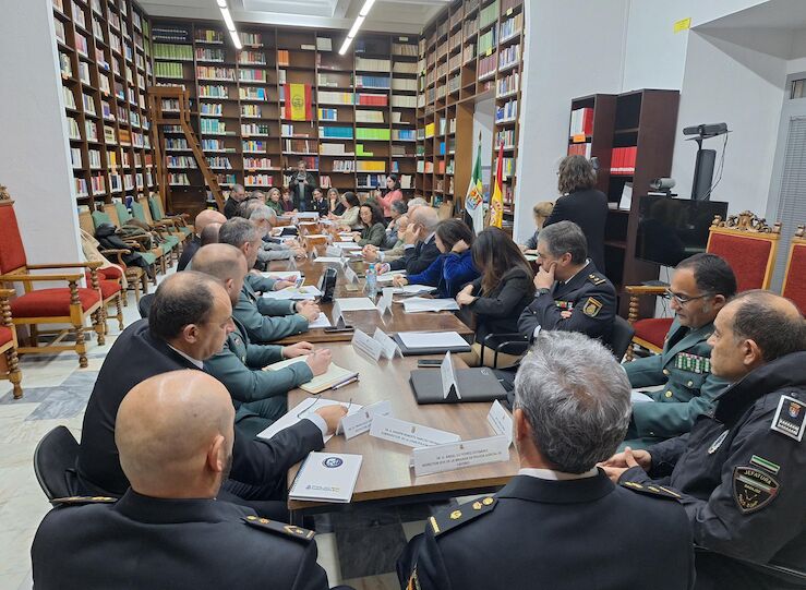 Provincia de Badajoz contar con dos nuevas Secciones judiciales Violencia sobre la Mujer