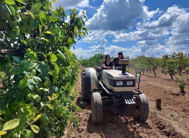 Junta ampla hasta el 15 de mayo el plazo de presentacin de la solicitud nica de la PAC