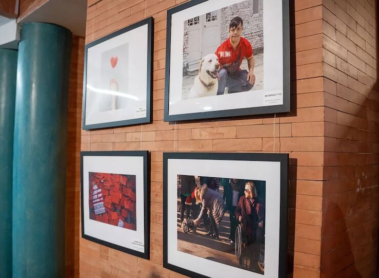 El Centro Cultural Alcazaba de Mrida acoge la exposicin Sin  barreras