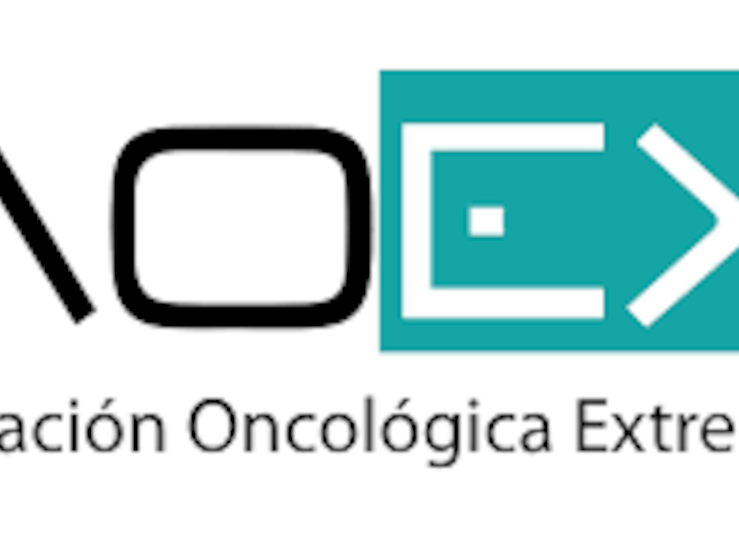 Plan de Prioridades de Cocemfe permitir mejorar equipamiento de las sedes de la AOEX