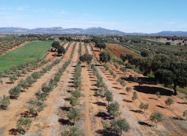 Junta y regantes impulsan un nuevo plan de modernizacin de 300000 hectreas 