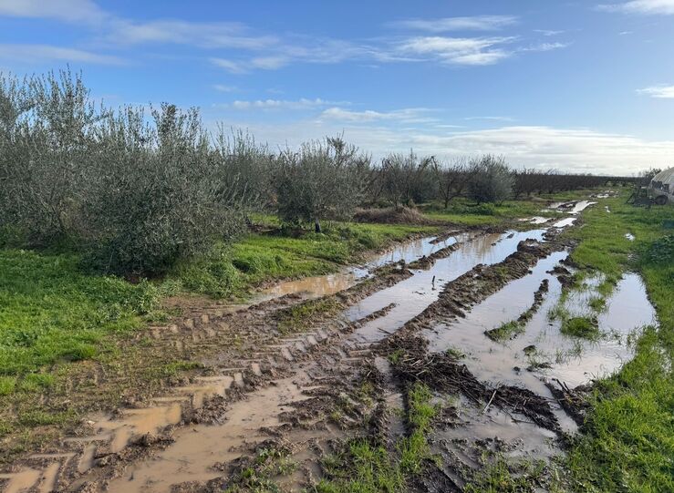 Febrero de 2026 fue muy clido con 95C de media y muy hmedo con 1239 lm2 de lluvia