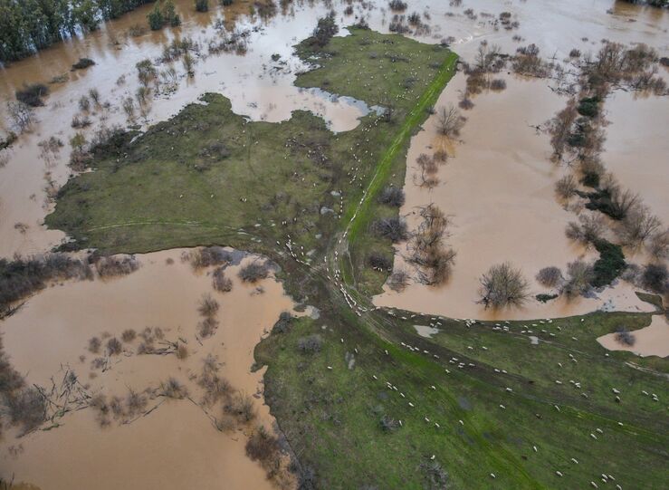 Red Sistema Prediccin Inteligente de Inundaciones se ampliar en cinco nuevas estaciones