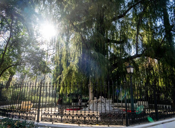 La semana empieza con fro pero habr mximas de ms de 25C en amplias zonas 