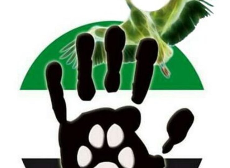 Decenas de entidades y voluntarios crean plataforma defensa y proteccin de los animales