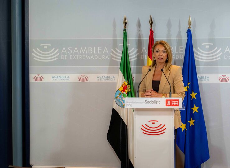 PSOE denuncia el bloqueo democrtico de PP y Vox y exige un pleno de control