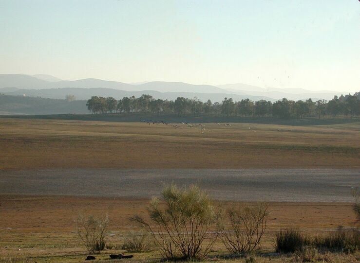 SEOBirdLife ve graves irregularidades en decreto desclasificacin terrenos Red Natura