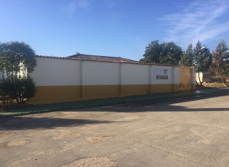 Pacma pide Junta informacin cerdos vietnamitas alojados Centro Proteccin Animal Badajoz