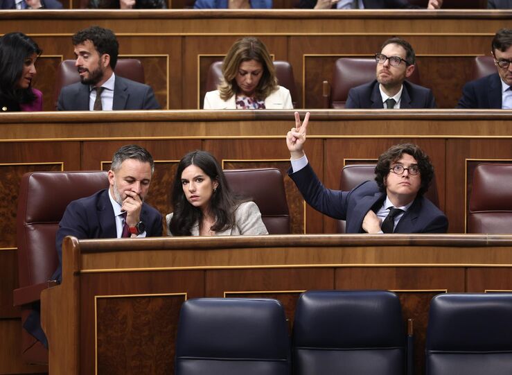 Gobierno y PP tumban mocin de Vox para dar prioridad nacional en acceso ayudas pblicas