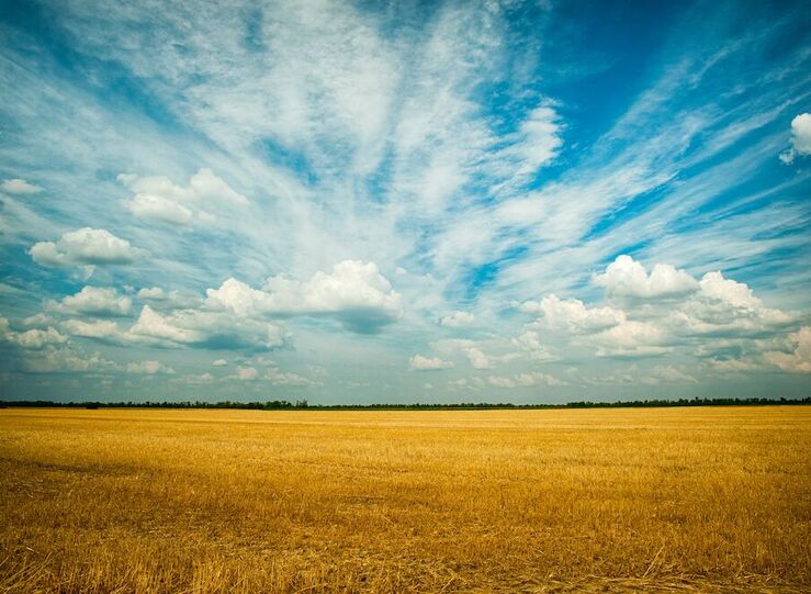 Cooperativas Extremadura tiende la mano al nuevo consejero de Agricultura 