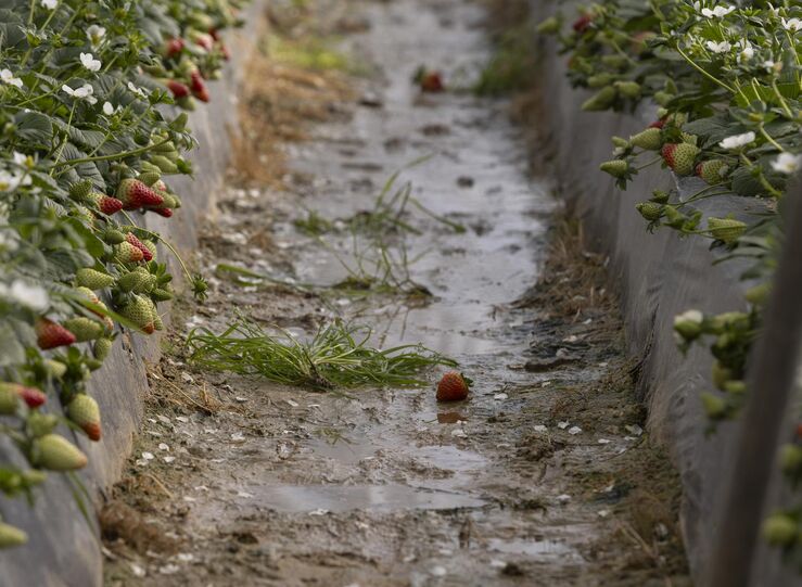 Gobierno publica 2 listado con ms de 27000 beneficiarios ayudas directas por borrascas