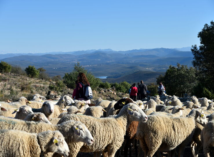 Vuelve una nueva edicin de Ruta de la Transhumancia en Reserva de Biosfera de Monfrage